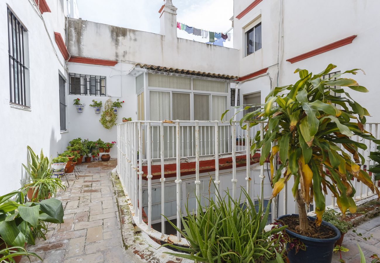 Apartamento en Cádiz - La Herencia del REGIDOR by Cadiz4Rentals