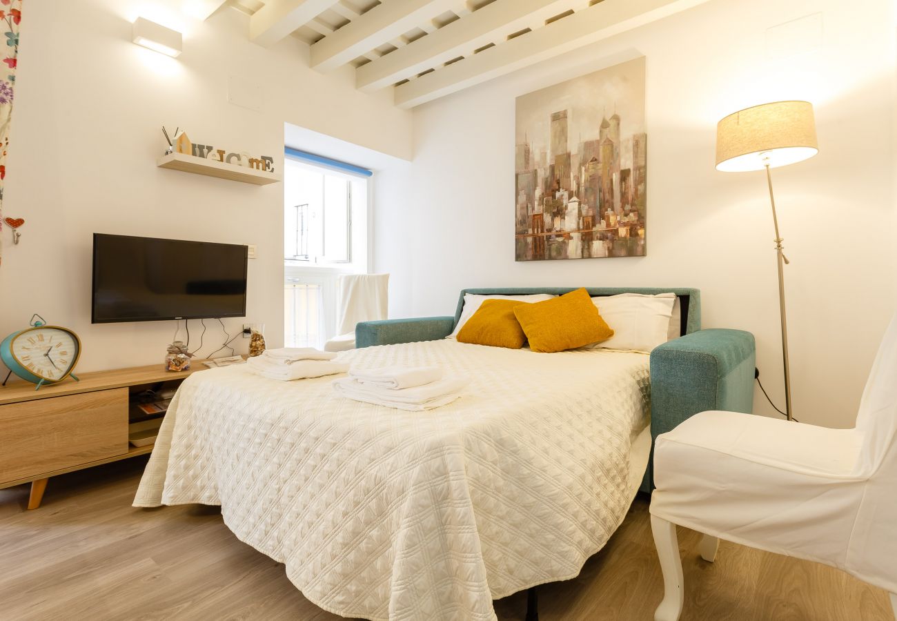 Apartamento en Cádiz - Flor de LIZ Apartment by Cadiz4Rentals