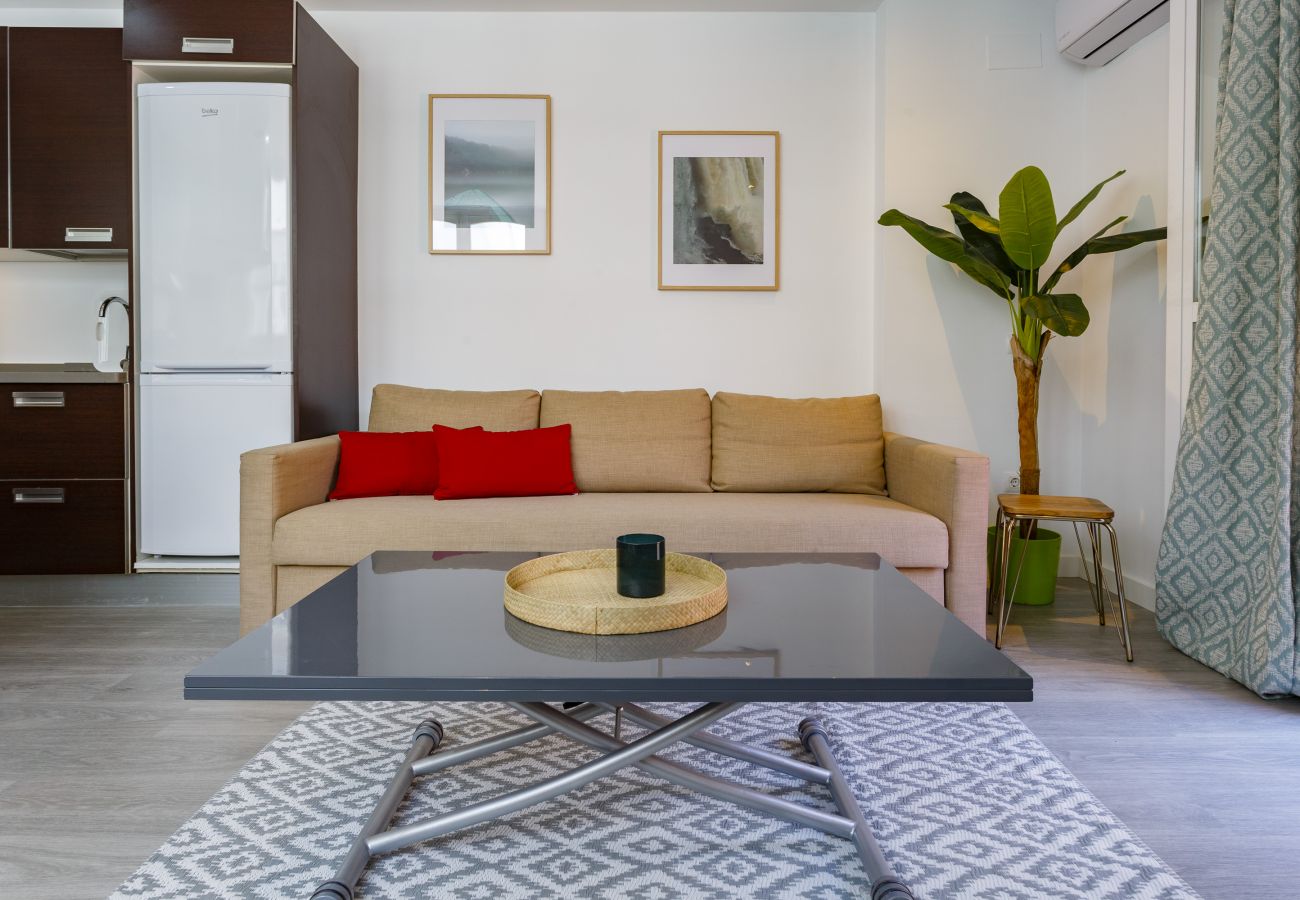 Apartamento en Cádiz - Atico de los FRANCESES by Cadiz4Rentals