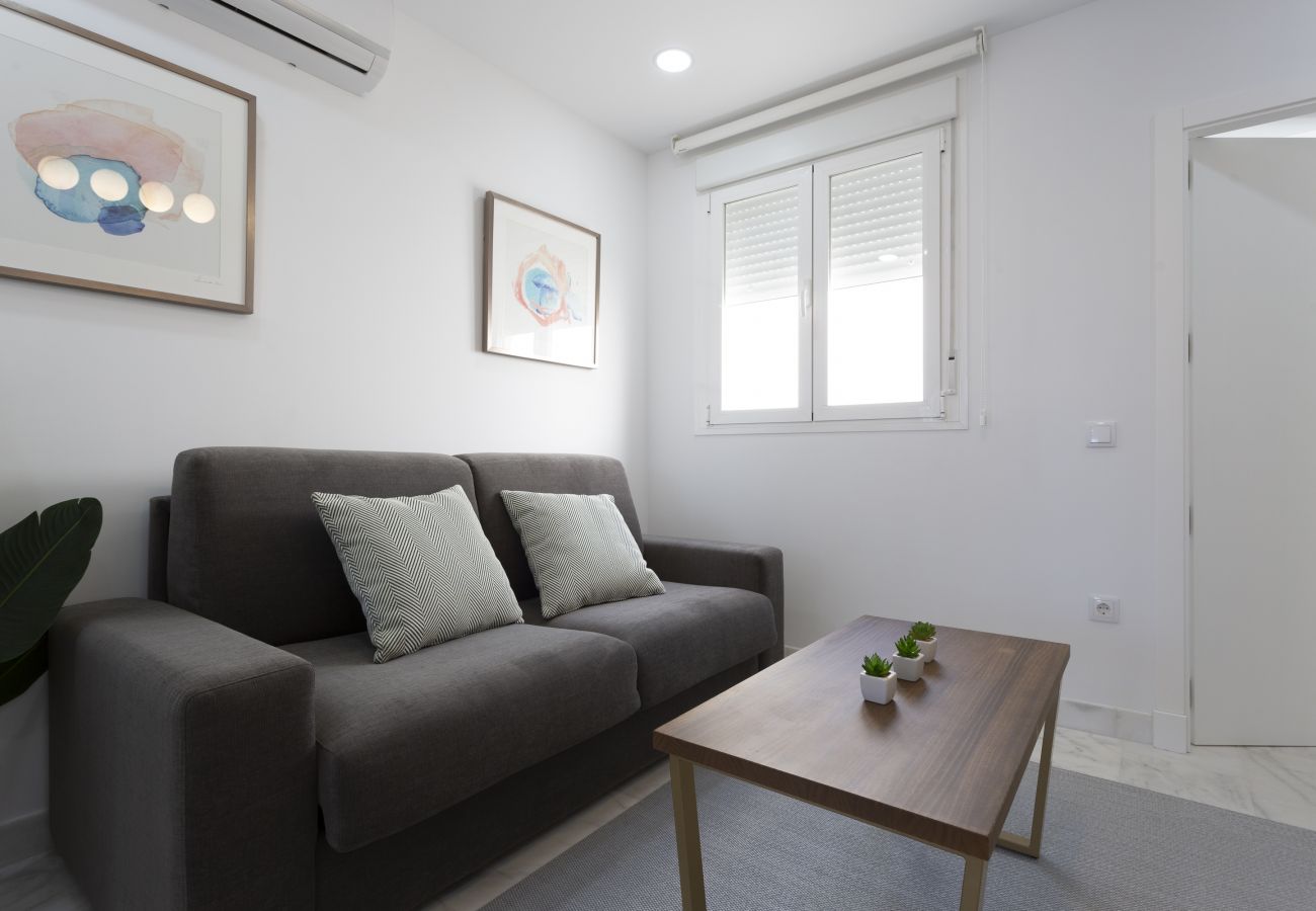 Apartamento en Cádiz - BRUJULA 0B Ground Apartment by Cadiz4Rentals