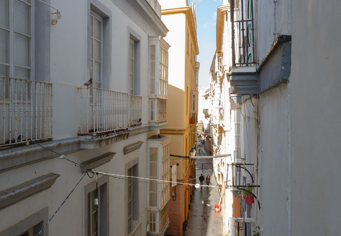 Apartment in Cádiz - Apartamento El SEMINARISTA by Cadiz4Rentals